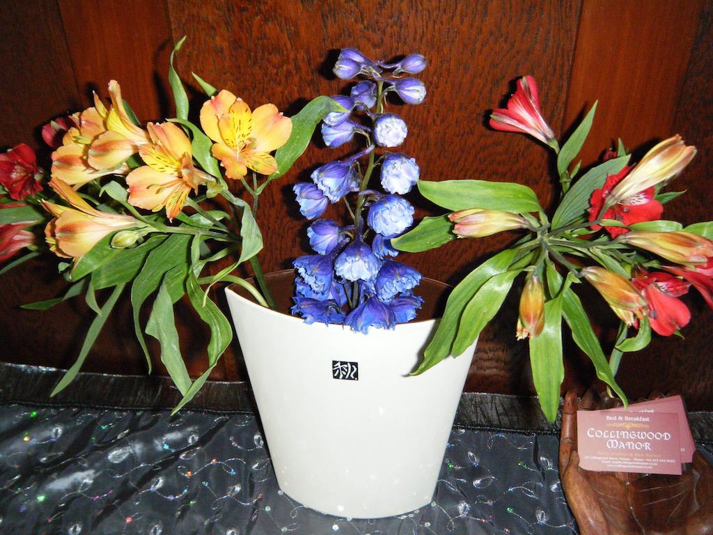 Bed and Breakfast Collingwood Manor Nelson Esterno foto